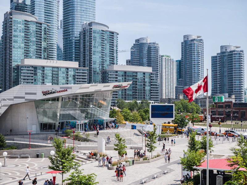 Study Permit to PR: How International Students Can Stay in Canada